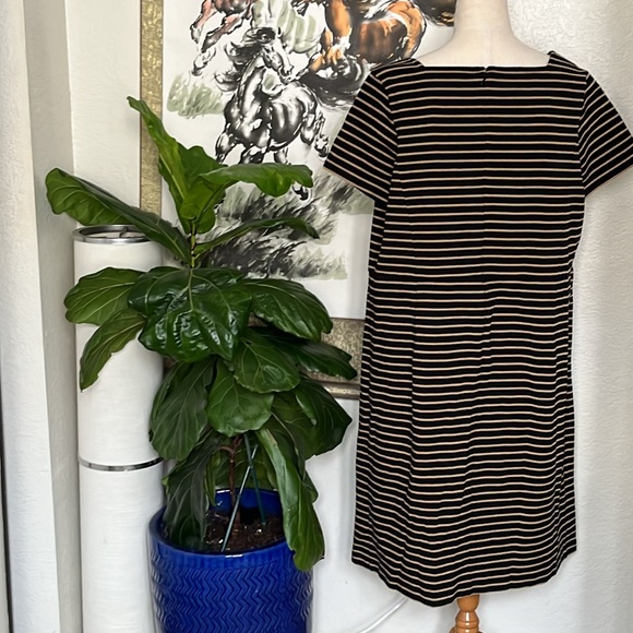 Talbots Size 16 W - Picture 4 of 7